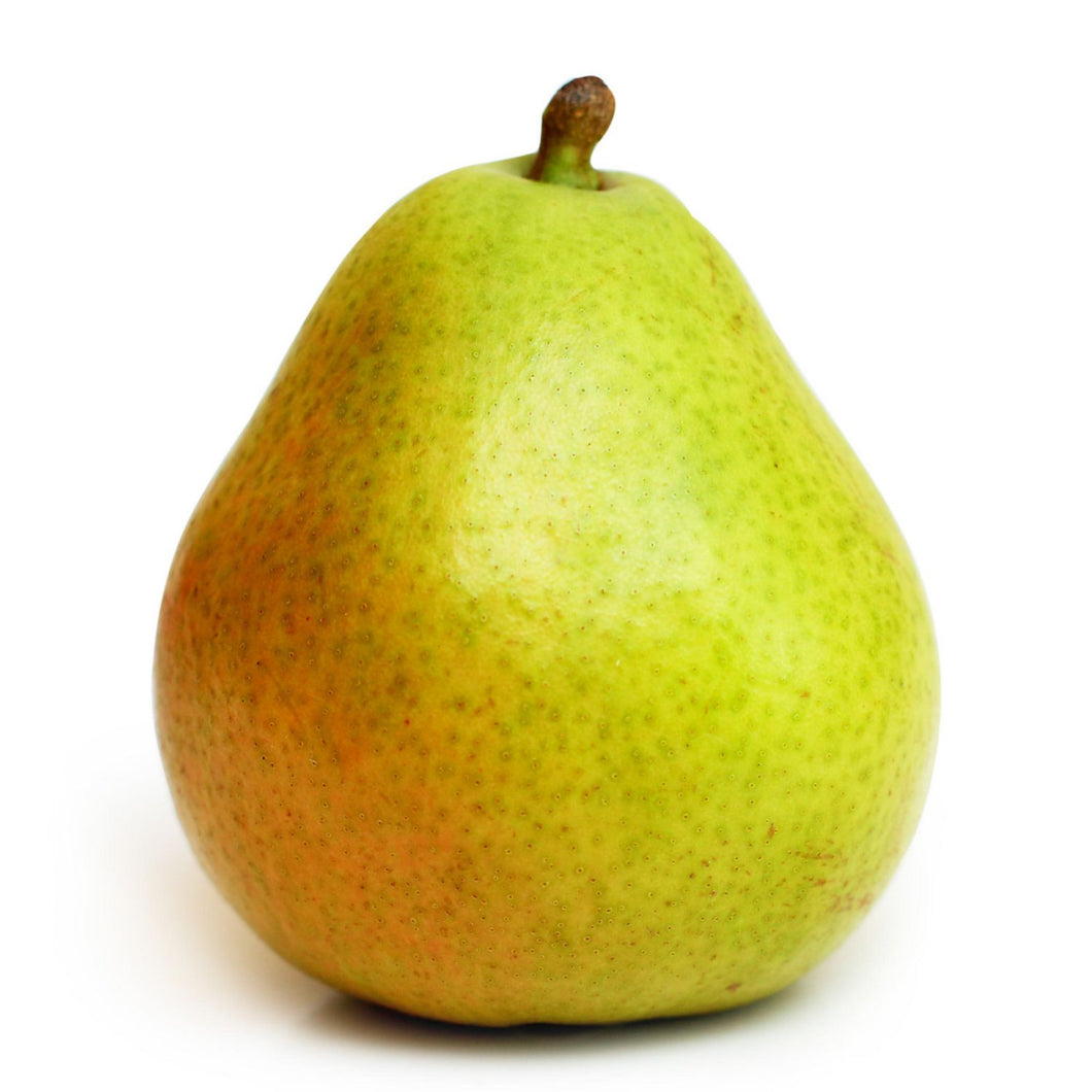 Pear, Anjou | sold in piece